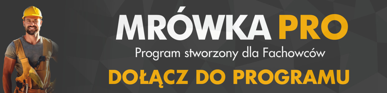 zdjęcie na stronie głównej